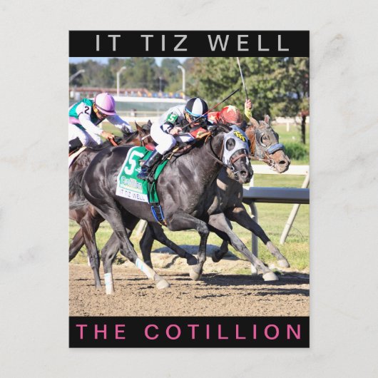 It Tiz Well - The Cotillion Winner ポストカード (正面)