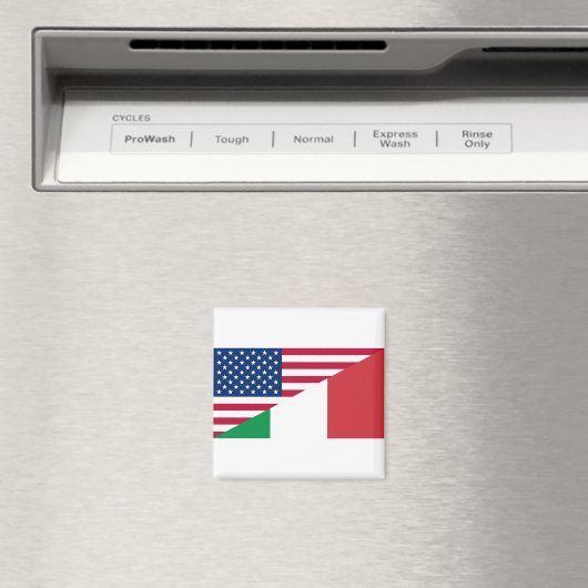 Italian American Pride US Italy Flag マグネット (インサイチュ (食洗機))
