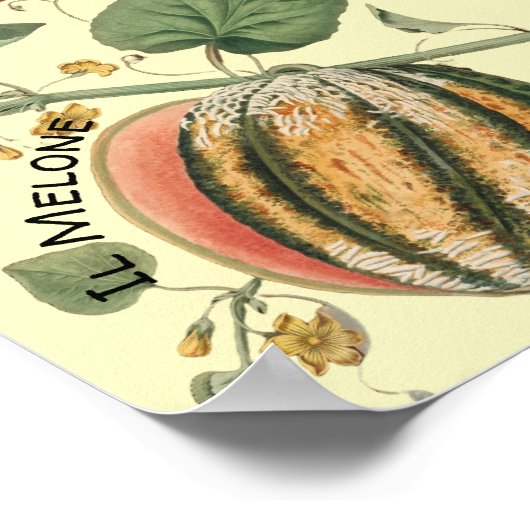 Italian Fruit Language Chart  ポスター (角)