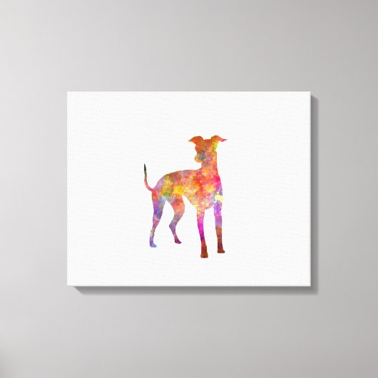 Italian Greyhound in watercolor キャンバスプリント (正面)