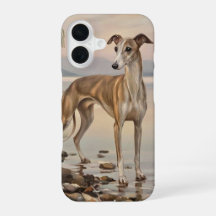 Italian Greyhound