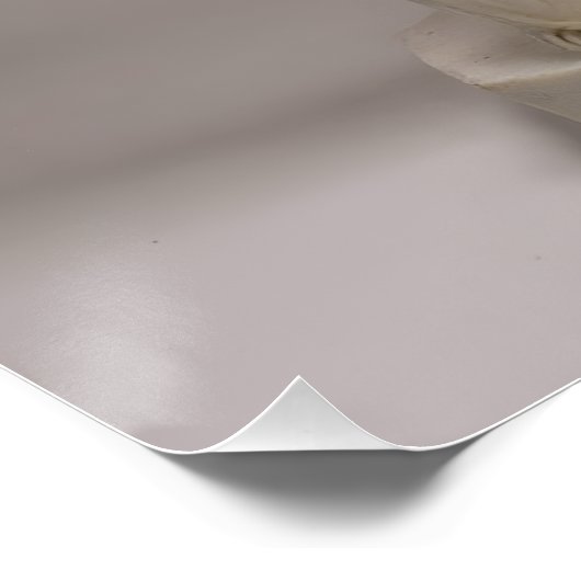 Italian Playing Cards - Ace of Spades ポスター (コーナー)