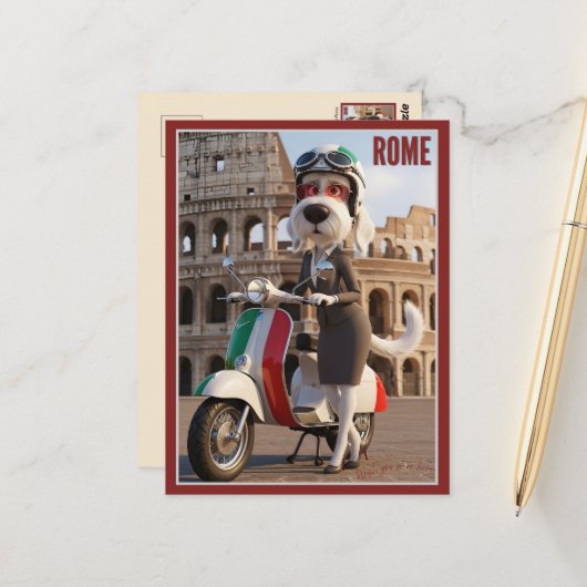 Italian Spinone Rome ポストカード (正面/裏面インサイチュ)