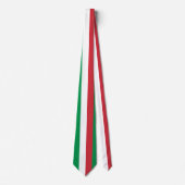 Italy Flag ネクタイ (正面)