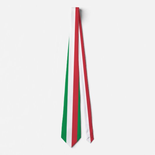 Italy Flag ネクタイ (正面)