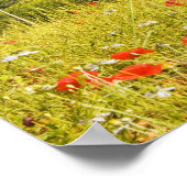 Italy, Monteriggioni, Field View of ポスター (角)