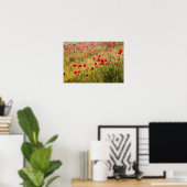 Italy, Tuscany, Poppies in Spring Wheat Field. ポスター (ホームオフィス)
