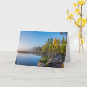 Itasca State Park, Minnesota カード (黄色い花)