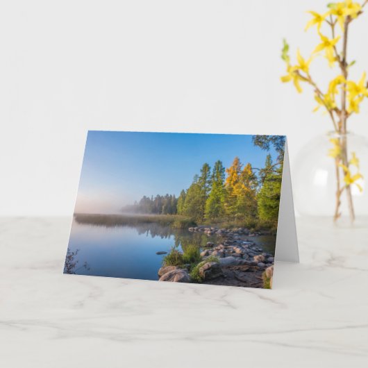 Itasca State Park, Minnesota カード (黄色い花)