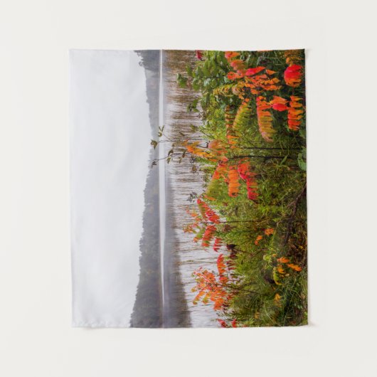 Itasca State Park | Minnesota タペストリー (正面)