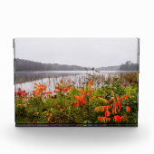 Itasca State Park | Minnesota フォトブロック (正面)