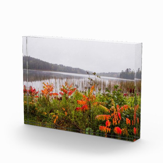 Itasca State Park | Minnesota フォトブロック (右)