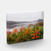 Itasca State Park | Minnesota フォトブロック (左)