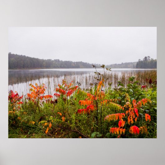 Itasca State Park | Minnesota ポスター (正面)