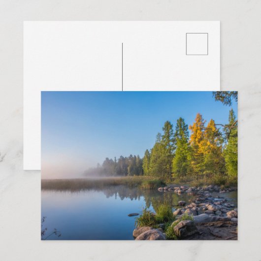 Itasca State Park, Minnesota ポストカード (正面/裏面)