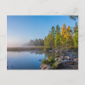 Itasca State Park, Minnesota ポストカード (正面)