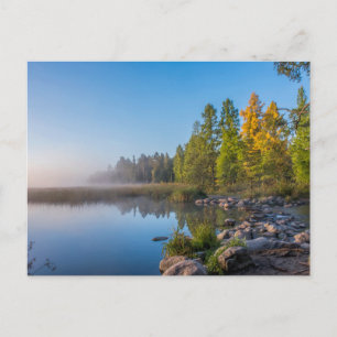 Itasca State Park, Minnesota ポストカード