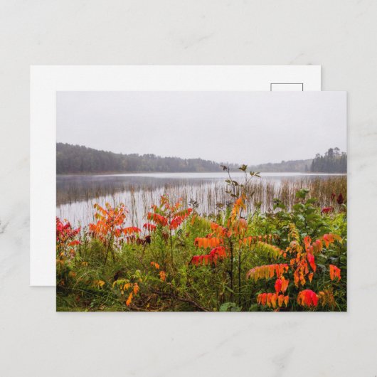 Itasca State Park | Minnesota ポストカード (正面/裏面)