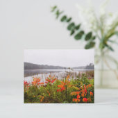 Itasca State Park | Minnesota ポストカード (スタンド正面)