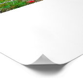 ITHACA NEW YORK GORGEポスター ポスター (角)