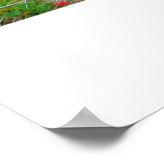 ITHACA NEW YORK GORGEポスター ポスター (角)