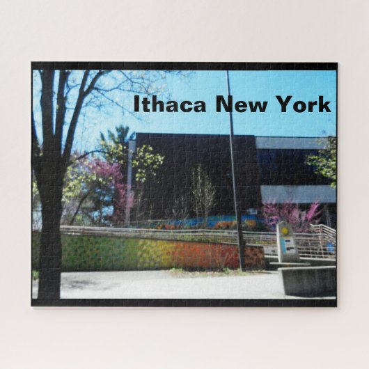 ITHACA NEW YORK LIBRARY ジグソーパズル (横)