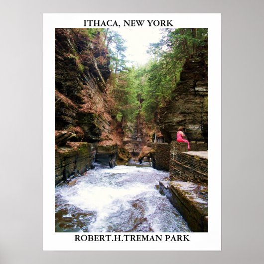 ITHACA, NEW YORK, ROBERT.H.トレマンパークのポスター ポスター (正面)