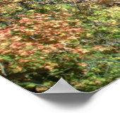 ITHACA NEW YORK WATERFALLポスター ポスター (角)