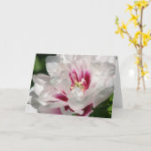 Itohのシャクヤク"Coraルイーズ" カード (黄色い花)