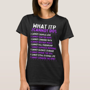 ITP認識度戦闘機ITPウォリアリボン Tシャツ