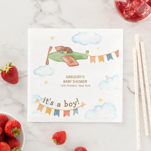 It's A Boy Bear Airplane Sky Baby Shower  (インサイチュ)