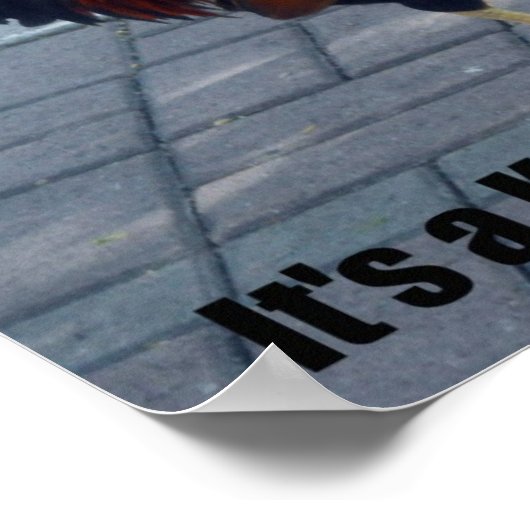 It's a Key West thing! ポスター (角)