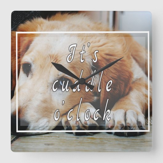 It's cuddle o'clock スクエア壁時計 (正面)