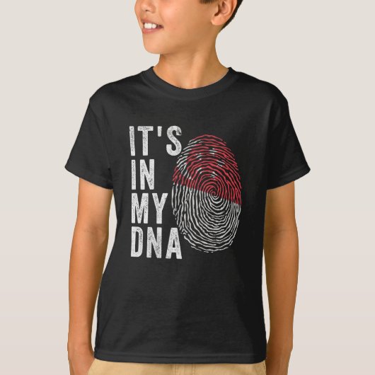 It's In My DNA - Singapore Flag Tシャツ (正面)