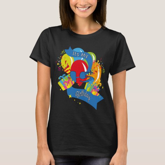 Its My 15誕生日 Tシャツ (正面)