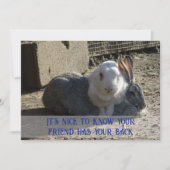 it's nice to know ... シーズンカード (正面)