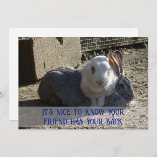 it's nice to know ... シーズンカード (正面/裏面)