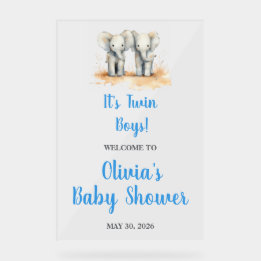 It's Twin Boys Baby Shower Welcome Acrl Acrylic Si アクリルサイン