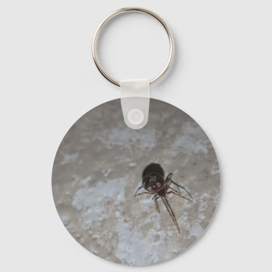 Itsy Bitsy Spider #3 キーホルダー (正面)