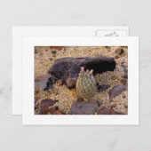 "Itty小さいバレルCatus " ポストカード (正面/裏面)