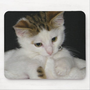 ITTY BITTY子猫オールインホワイト マウスパッド