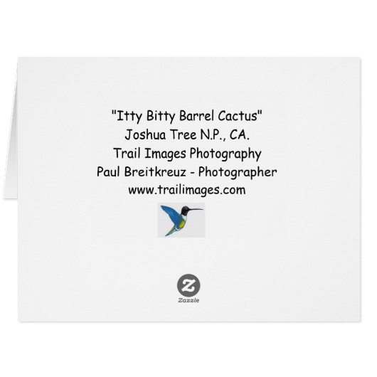 Itty Bitty Barrelサボテン (裏面横)