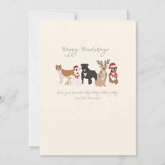 Itty Bitty Pittyカード シーズンカード (正面)