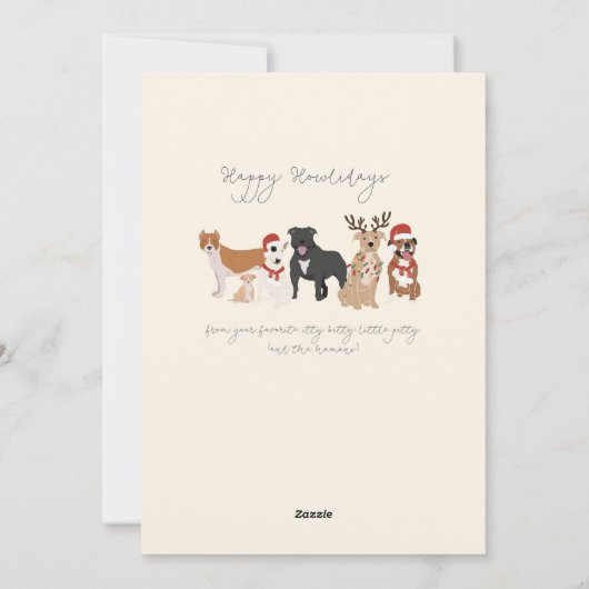 Itty Bitty Pittyカード シーズンカード (裏面)