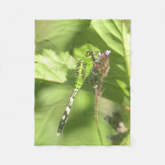 ITW1の30インチx40インチフリースブランケットのオリジナル写真 フリースブランケット