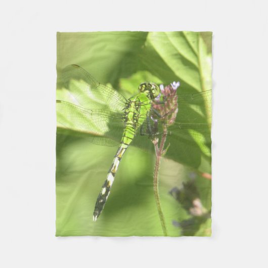 ITW1の30インチx40インチフリースブランケットのオリジナル写真 フリースブランケット (正面)