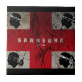 IV - SARDEGNA cst タイル (正面)