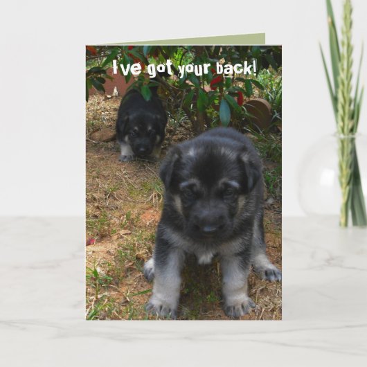 Iveはあなたの背部を得ました! ジャーマン・シェパードの子犬の挨拶 カード (正面)