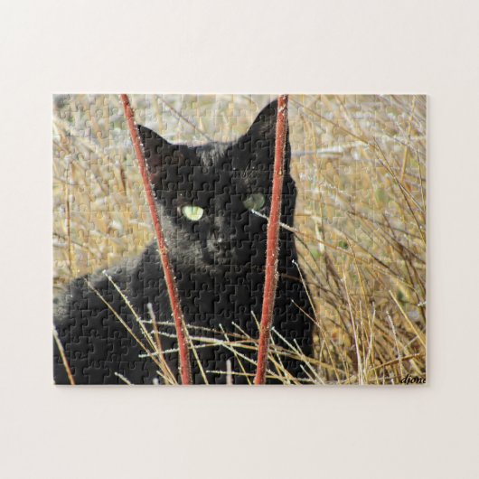 Iveは組み立てられてまたはあなた自身の写真を加えます ジグソーパズル (横)