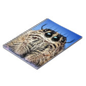 I've got my eyes on you! ノートブック (左側)